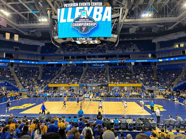 Great Expectations for Pitt and Fans Ahead of Volleyball's Sweet 16